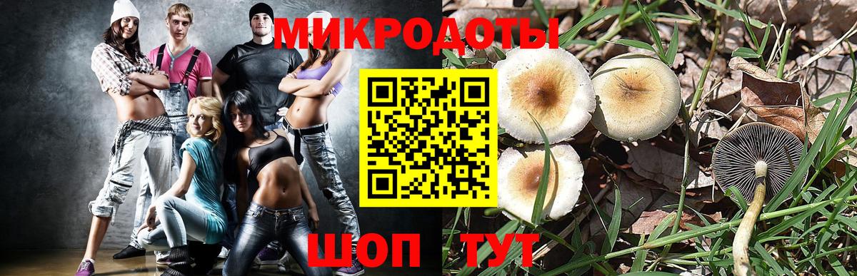 Псилоцибиновые грибы GOLDEN TEACHER Еманжелинск